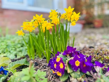 Spring Photo Competition