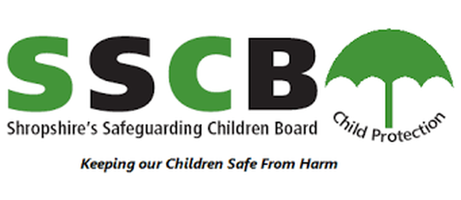 Please click on this logo to go to the SSCB website for further information or to make a referral.