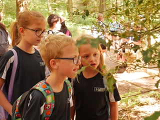 A Wild day out in the Wyre Forest.